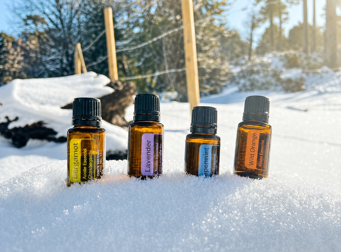 El Mundo de la Aromaterapia Natural