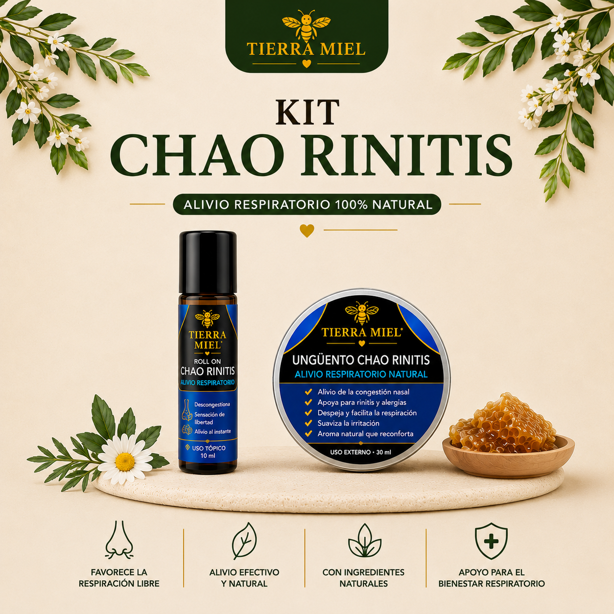 Chao Rinitis